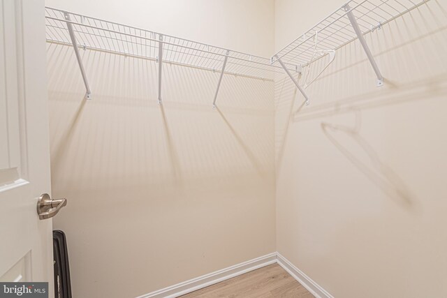 walk in closet with hardwood / wood-style floors