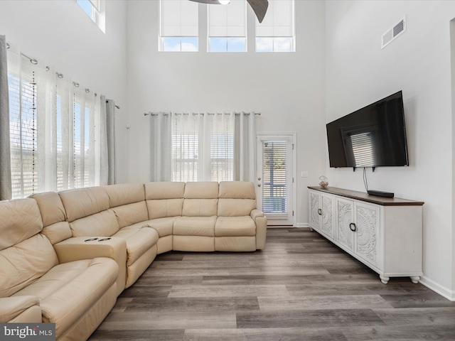 living room featuring hardwood / wood-style floors and a wealth of natural light