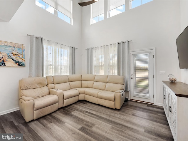 living room featuring hardwood / wood-style floors, ceiling fan, a wealth of natural light, and a high ceiling