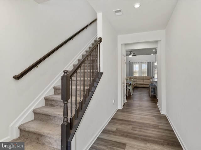 staircase featuring wood-type flooring and ceiling fan