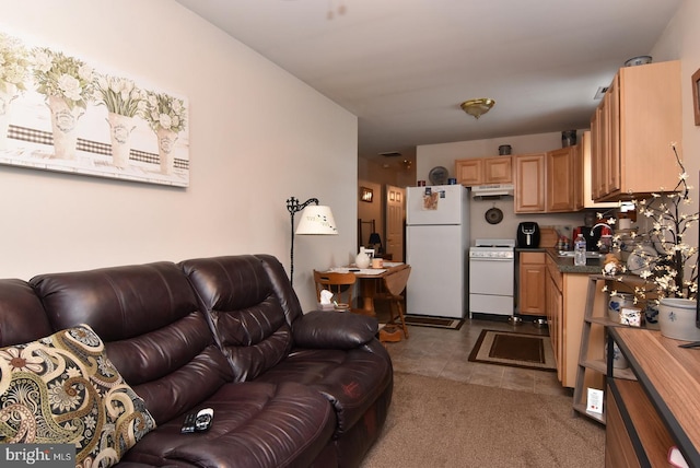 living room featuring carpet