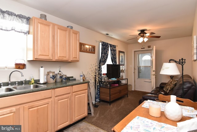 kitchen with ceiling fan, sink, light brown cabinets, and carpet floors