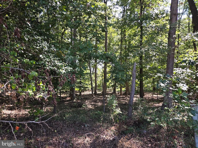 306 Thaden Ave, Fort Washington MD, 20744 land for sale