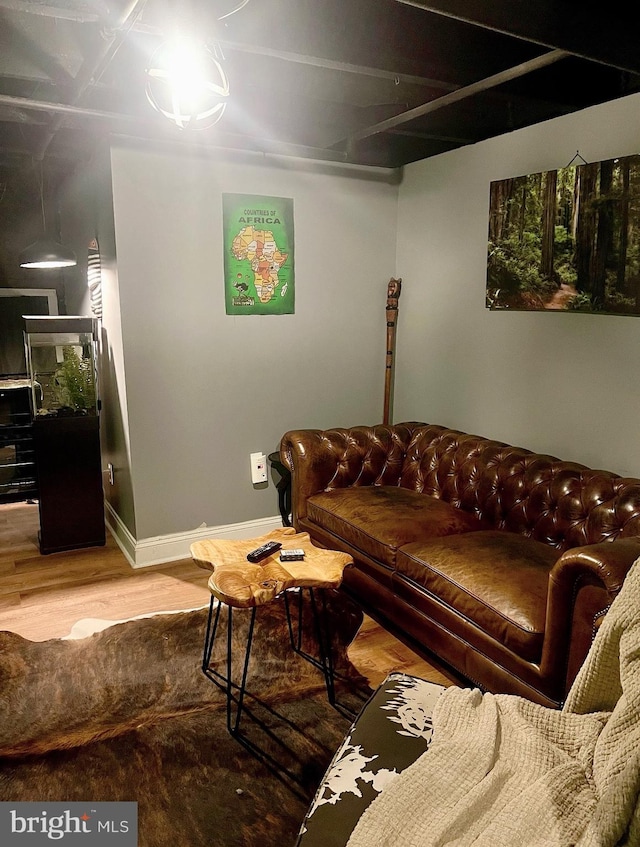 living room featuring wood-type flooring