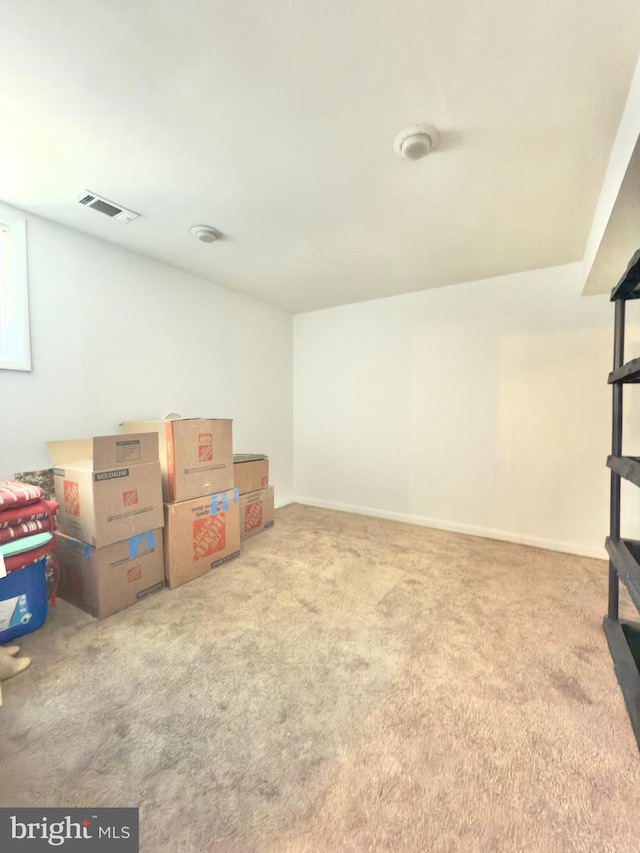 basement with carpet flooring