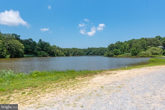 property view of water