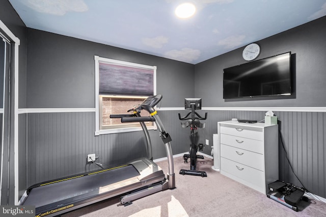 workout room with carpet flooring