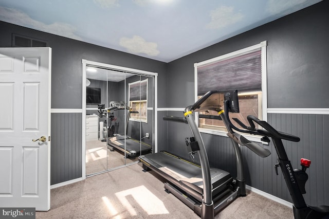 exercise area featuring visible vents, carpet, and a wainscoted wall