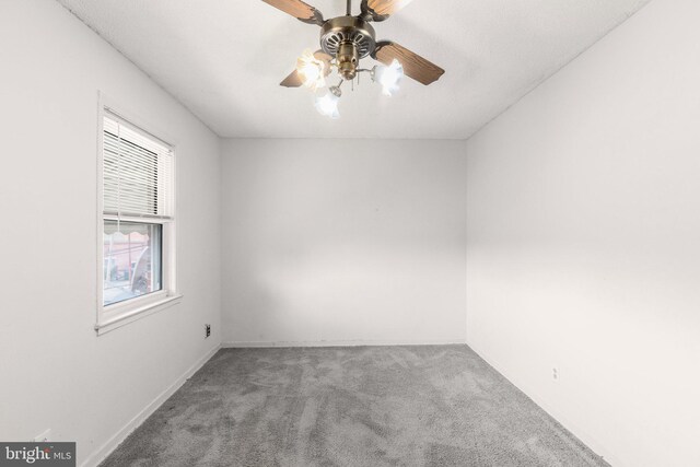 basement featuring light carpet and wood walls