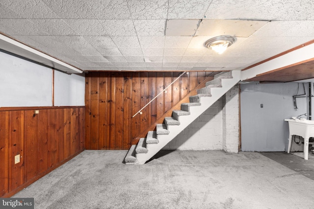 basement with wood walls