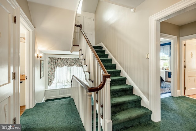 staircase featuring carpet flooring