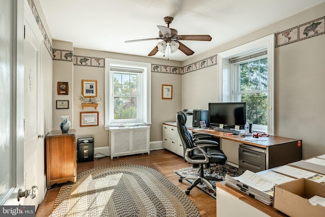 office area featuring ceiling fan, radiator, and hardwood / wood-style flooring