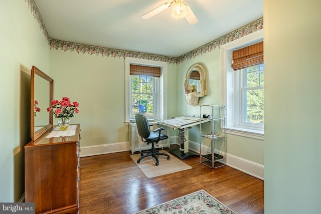 office area featuring plenty of natural light, ceiling fan, radiator heating unit, and wood-type flooring