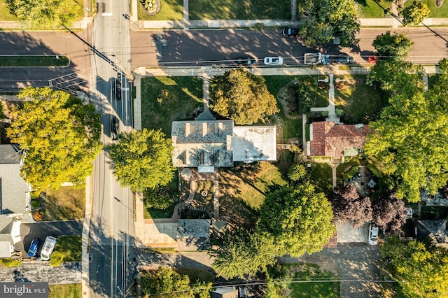 bird's eye view