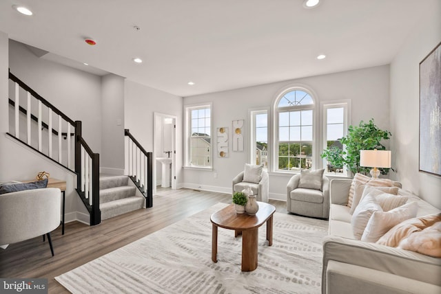 living room with wood-type flooring and a healthy amount of sunlight