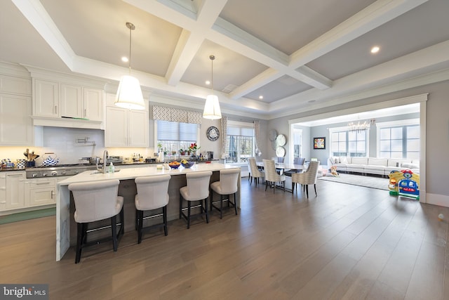 kitchen featuring a wealth of natural light, dark hardwood / wood-style flooring, and stainless steel gas cooktop