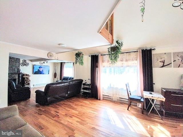 living room featuring a baseboard radiator, wood-type flooring, and a fireplace