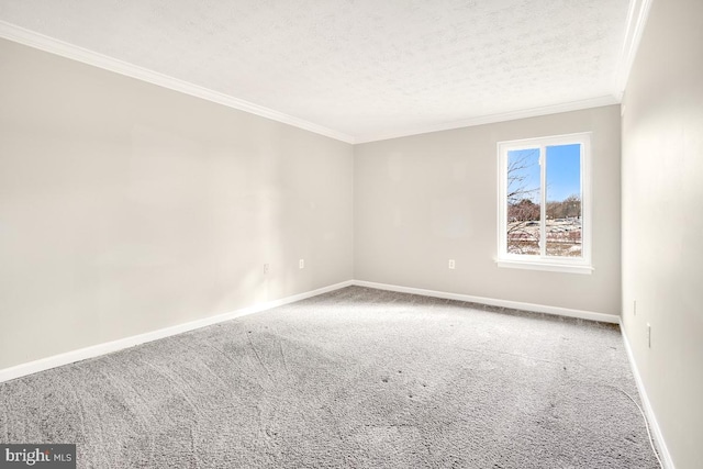 carpeted empty room featuring ornamental molding and a textured ceiling