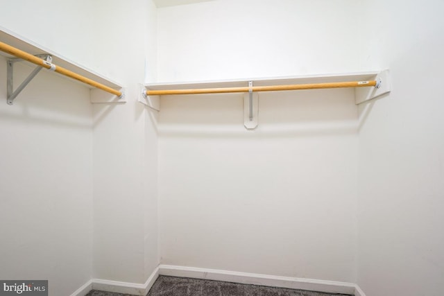 walk in closet with dark colored carpet