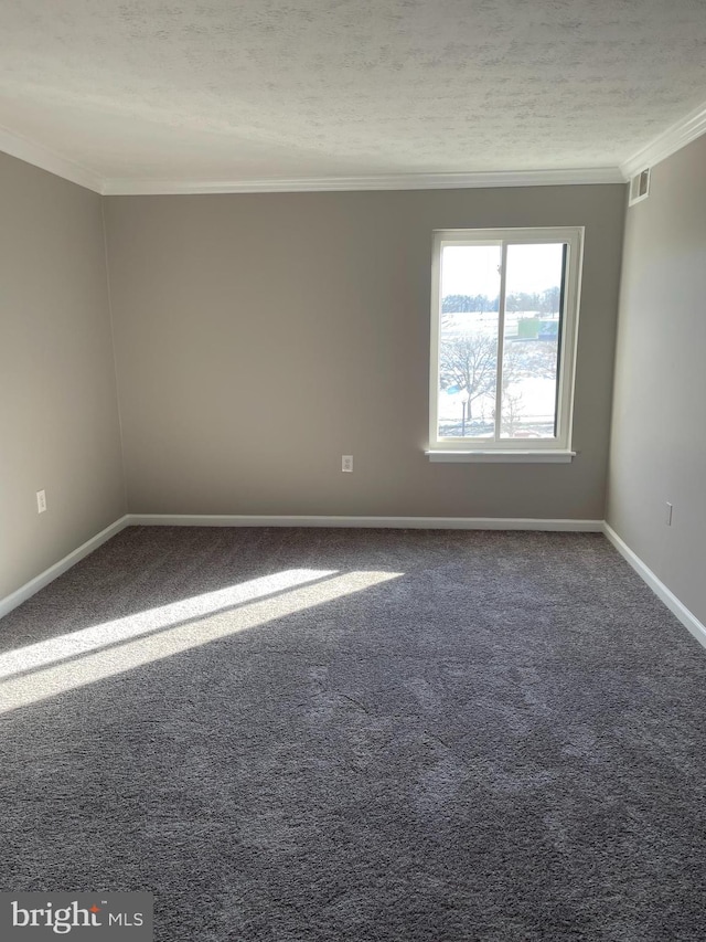 empty room featuring ornamental molding, a textured ceiling, and carpet