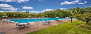 view of swimming pool with a patio area and a lawn