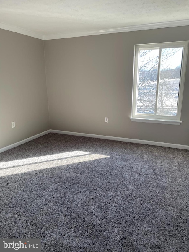 unfurnished room with ornamental molding and carpet flooring