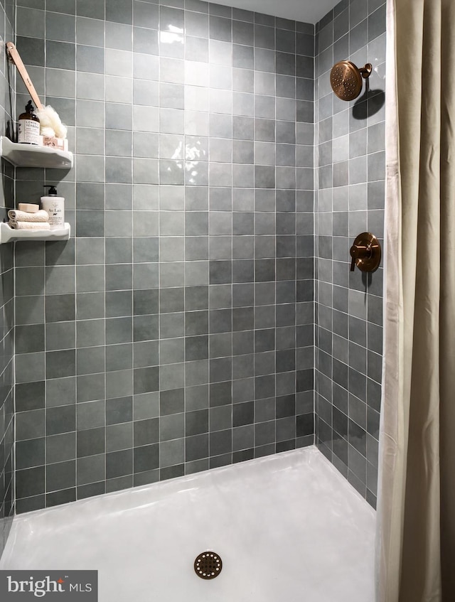 bathroom featuring a shower with shower curtain