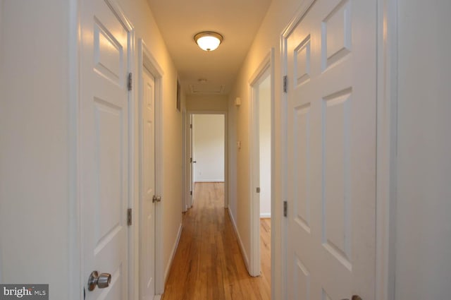 hall featuring light hardwood / wood-style floors