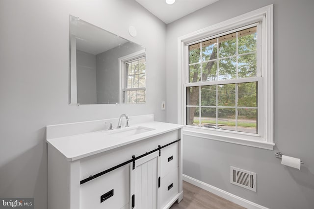 bathroom with vanity, plenty of natural light, and hardwood / wood-style floors