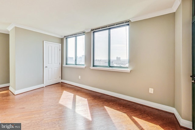 interior space featuring light wood-type flooring and crown molding