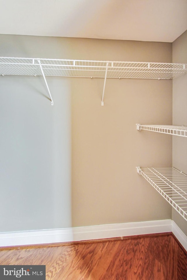 spacious closet featuring wood-type flooring