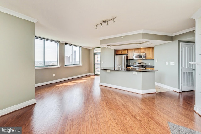 kitchen with light wood-type flooring, crown molding, and stainless steel appliances