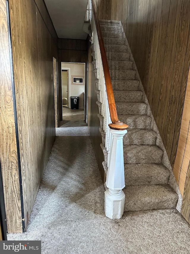 stairway with wood walls and carpet floors