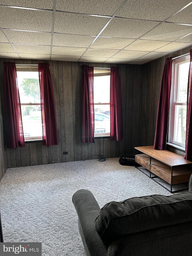 interior space with a wealth of natural light, wood walls, a paneled ceiling, and carpet floors