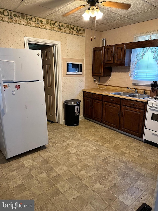 kitchen featuring white appliances, dark brown cabinets, sink, and ceiling fan