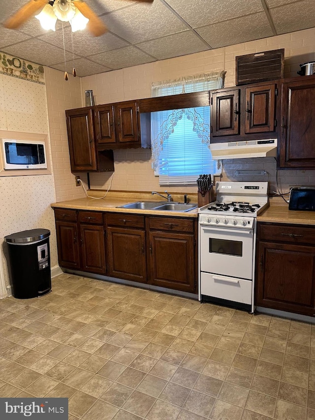 kitchen featuring white range with gas cooktop, sink, ceiling fan, dark brown cabinetry, and a drop ceiling