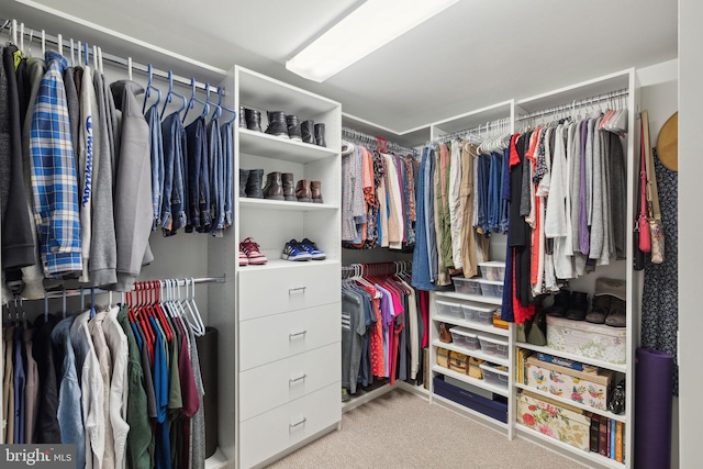 spacious closet featuring light colored carpet