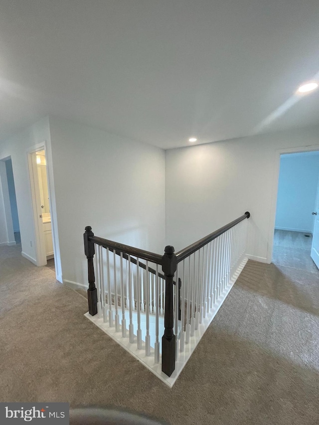 interior space featuring carpet flooring