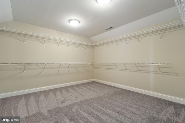 walk in closet with vaulted ceiling and carpet flooring