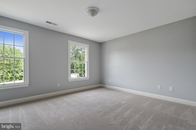 empty room featuring a wealth of natural light and carpet floors