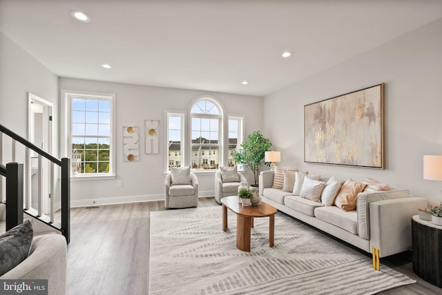 living room featuring hardwood / wood-style flooring