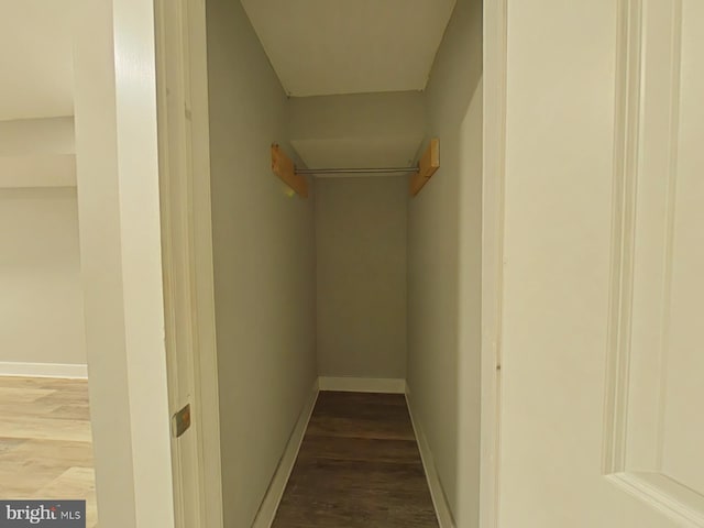 walk in closet with hardwood / wood-style floors