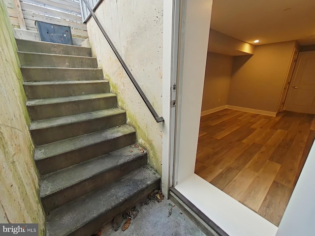 stairway with hardwood / wood-style floors