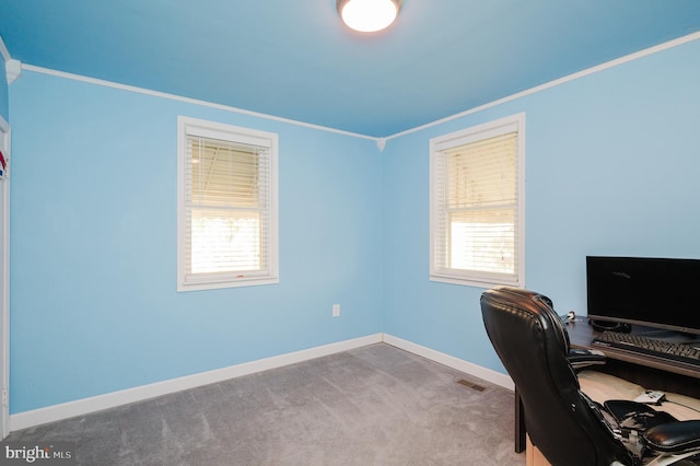 office area with crown molding, plenty of natural light, and carpet