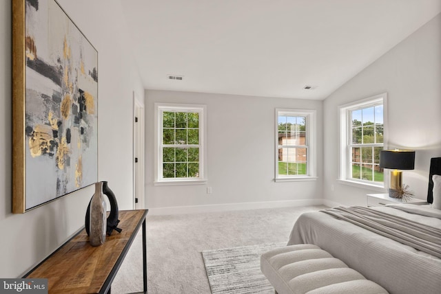 carpeted bedroom featuring vaulted ceiling