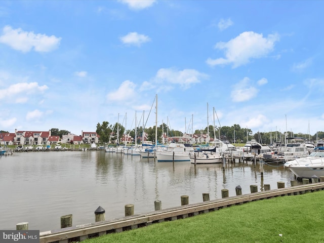 dock area with a water view