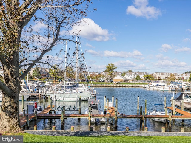 dock area featuring a water view