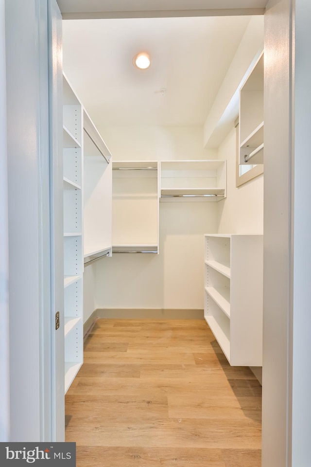 spacious closet with light wood-type flooring