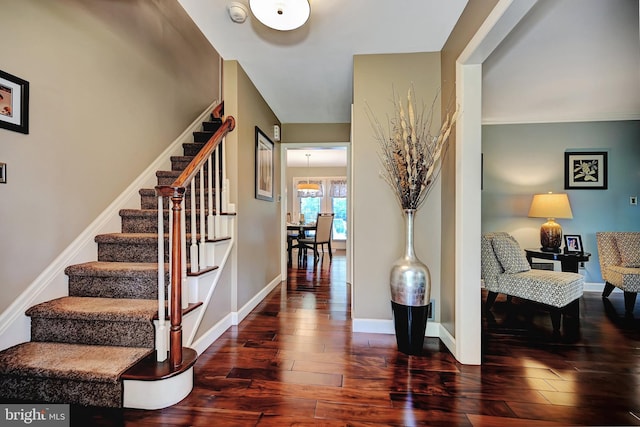 foyer entrance with dark hardwood / wood-style flooring