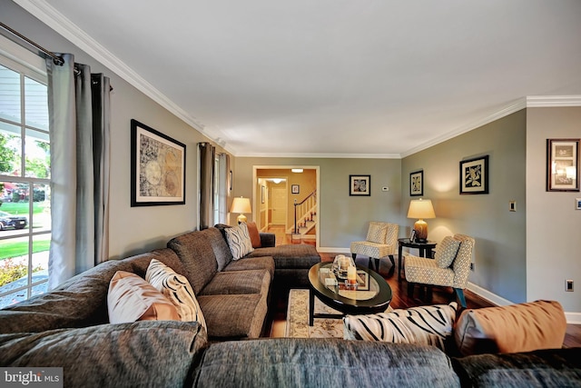 living room with wood-type flooring and ornamental molding